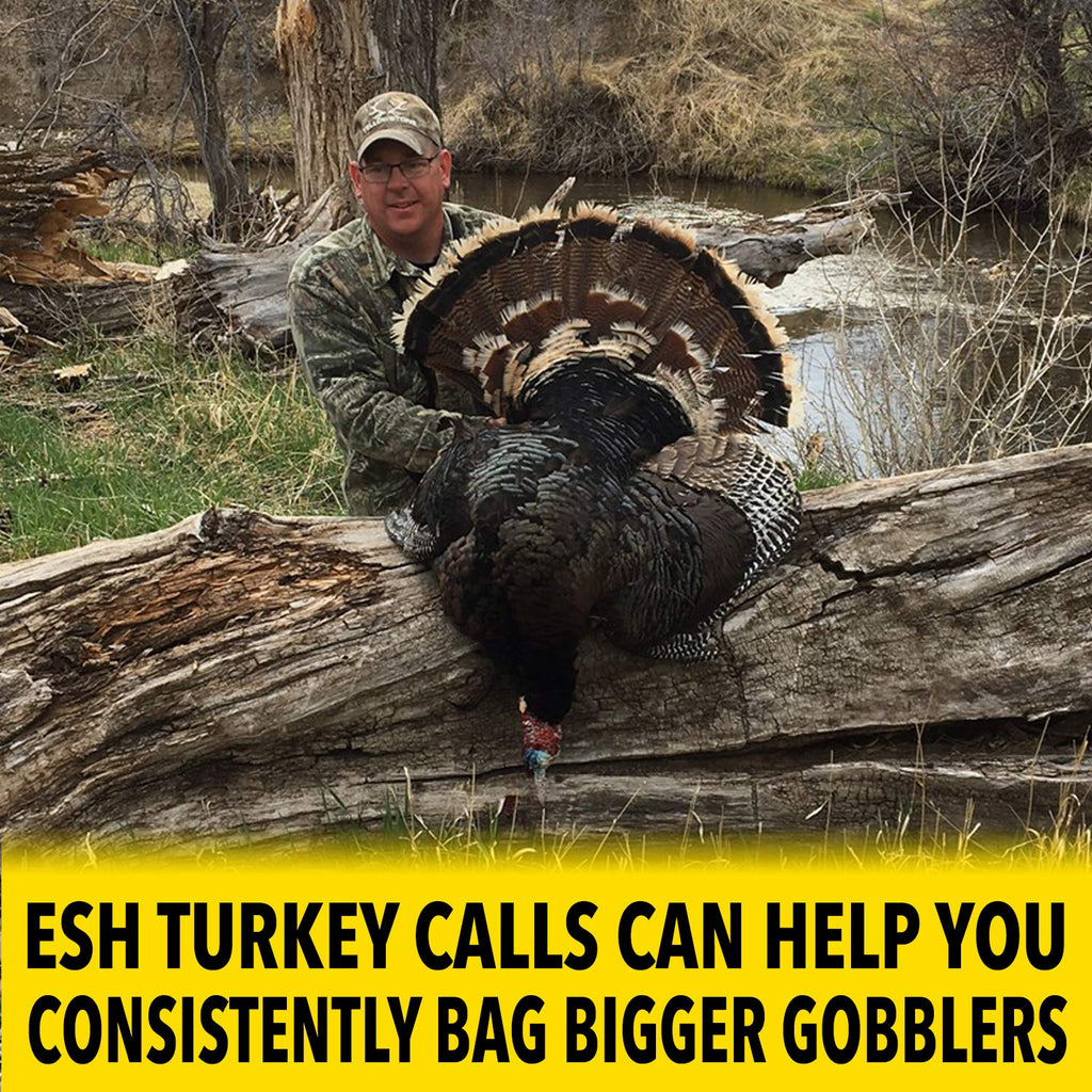 ALL WEATHER Turkey Box Call - Esh Custom Calls