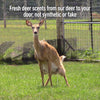 Buck Commander Rut Package