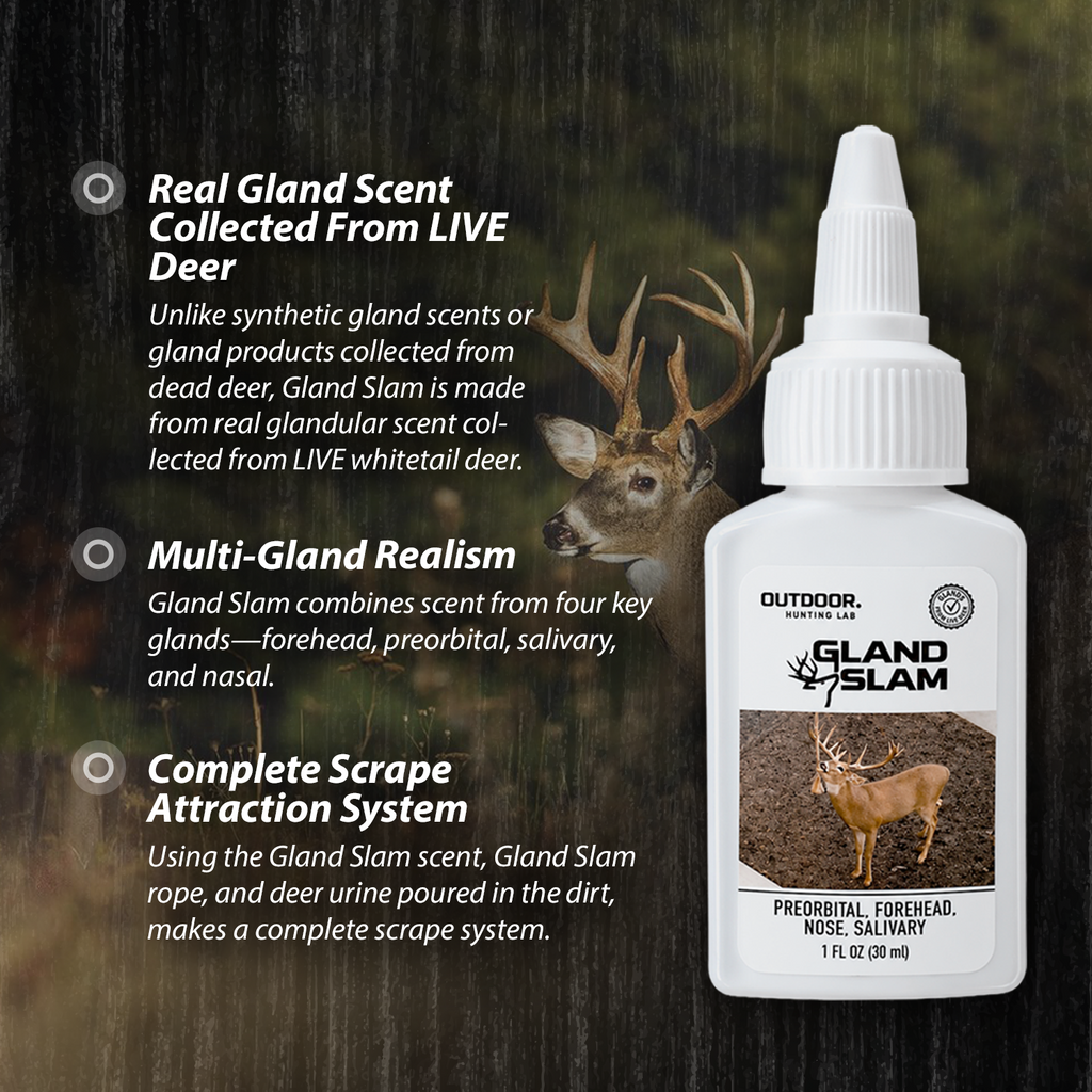 Labor Day Sale - Buy 4 Get 7 Free