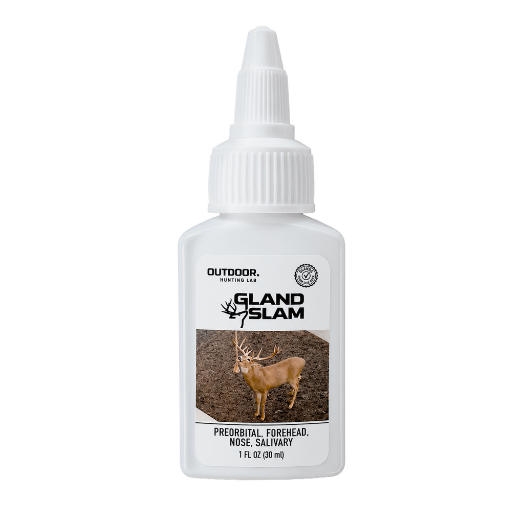 Gland Slam Scent