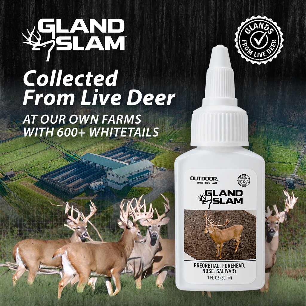 Gland Slam Rope Pack