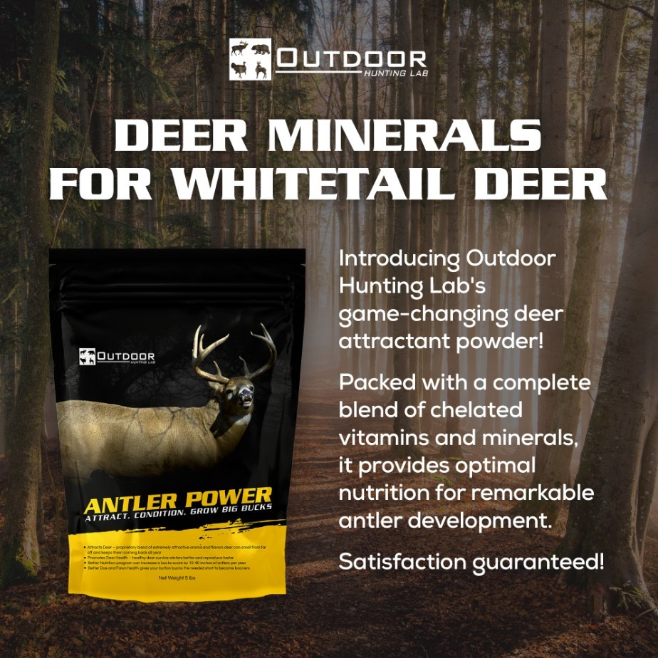Bulk Antler Power Deer Mineral