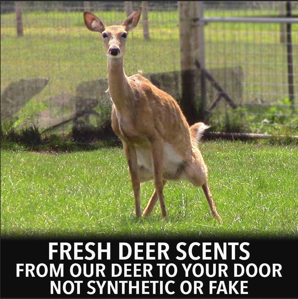 Deer Scent Sticks