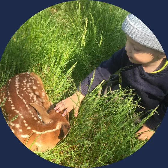 A young child petting a whitetail fawn lying in tall grass