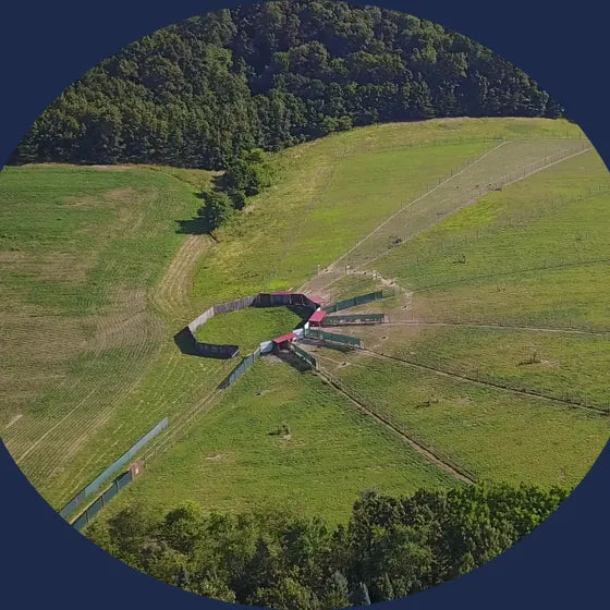 Aerial view of the third deer farm on a green hillside